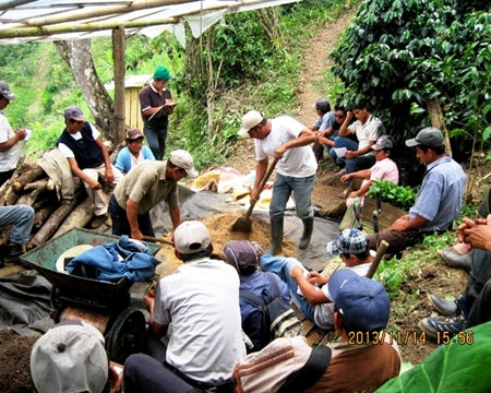 PERU FT-FLO/USA ORGANIC NORANDINO - 31818 - SPOT SEAFORTH