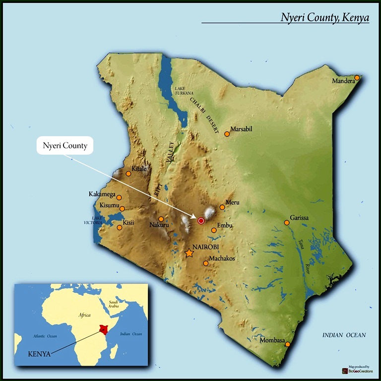 Kenya Nyeri Ichamama AA - 11TY0001 - 28097 - GrainPro Bags - SPOT SEAFORTH