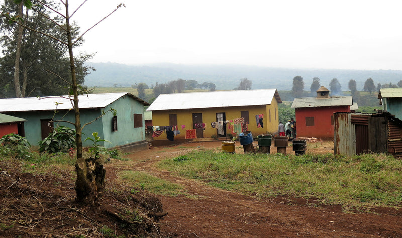Tanzania Ngorongoro Finagro Plantations Honey Kent AA/AB - Lot 150 - 36948 - Agroz Bags - SPOT SHANGHAI
