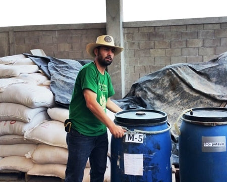 DECAF HONDURAS FT-FLO ORGANIC COMSA ROYAL SELECT SWISS WATER PROCESS - 29886 - SPOT RCWHSE