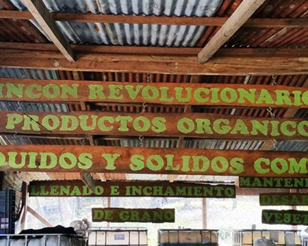 ROYAL GEM HONDURAS FT-FLO ORGANIC COMSA MANOS DE MUJER HONEY SHG EP - 33452-2 - SPOT RCWHSE