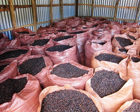 DECAF ETHIOPIA FT ORGANIC NATURAL SIDAMO ROYAL SELECT SWISS WATER PROCESS - 29643 - SPOT RCWHSE