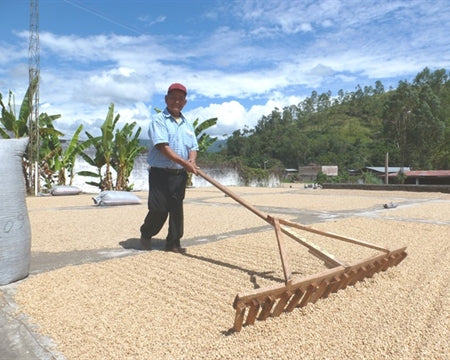 DECAF PERU FT-FLO ORGANIC PANGOA ROYAL SELECT SWISS WATER PROCESS - 31471-3 - SPOT COSEATAC