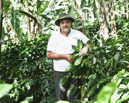 NICARAGUA ORGANIC JINOTEGA PARAISO SHG EP - *48590* - 24354 - SPOT RCWHSE