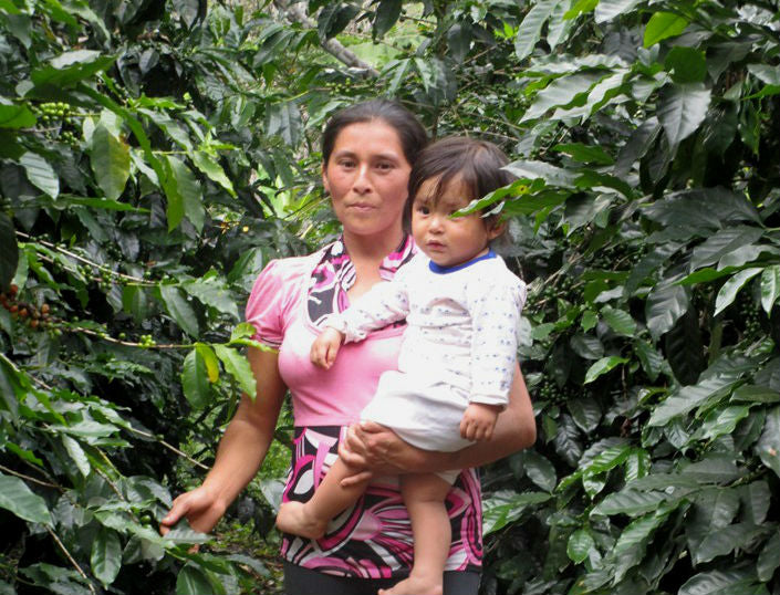 DECAF PERU FT-FLO ORGANIC CAFE DE MUJER APROCCURMA ROYAL SELECT WATER PROCESS - 34307 - SPOT RCWHSE