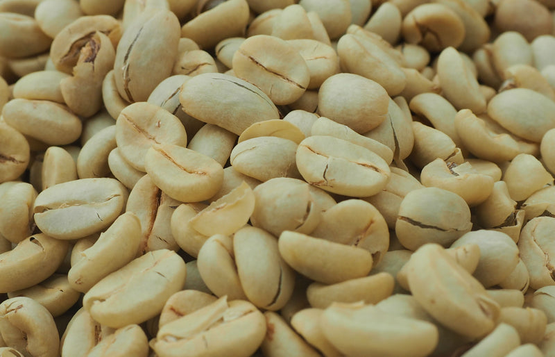 DECAF PERU ORGANIC NORTE ROYAL SELECT WATER PROCESS - *50072* - 24256 - SPOT RCWHSE