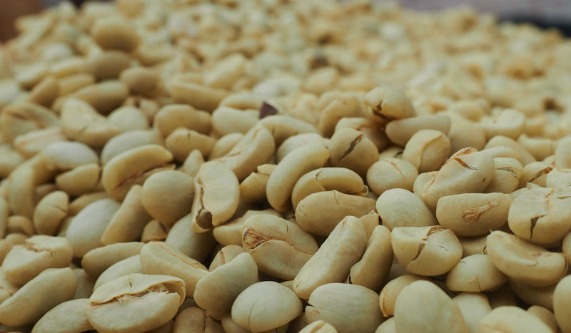 PERU FT-USA ORGANIC MOYOBAMBA PUEBLO LIBRE SHB EP - 34408 - SPOT SEAFORTH