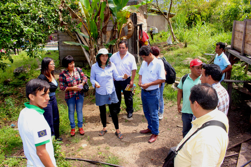 Peru Satipo Finca Tasta Honey Catuai - 35646 - GrainPro Bags - SPOT RCWHSE