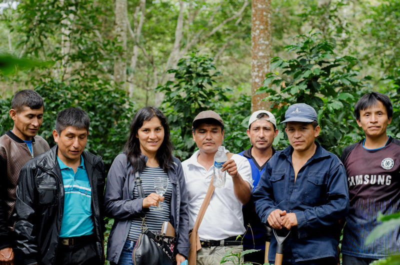 Peru Satipo Finca Tasta Honey Caturra - *52061* - 27146 - GrainPro Bags - SPOT RCWHSE