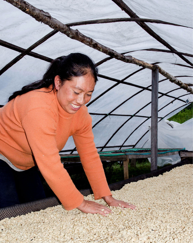 Peru Satipo Finca Tasta Honey Caturra - *52061* - 27146 - GrainPro Bags - SPOT RCWHSE