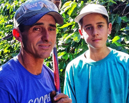 BRAZIL FT-FLO ORGANIC SUL DE MINAS POCO FUNDO COOPFAM 14+ - 32254 - 60.0 kg Videplast Bags - SPOT RCWHSE