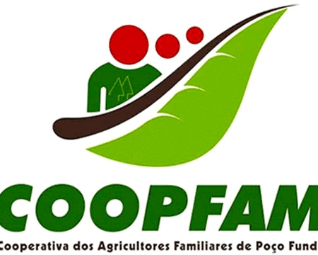 BRAZIL FT-FLO ORGANIC SUL DE MINAS POCO FUNDO COOPFAM 14+ - 32254 - 60.0 kg Videplast Bags - SPOT RCWHSE