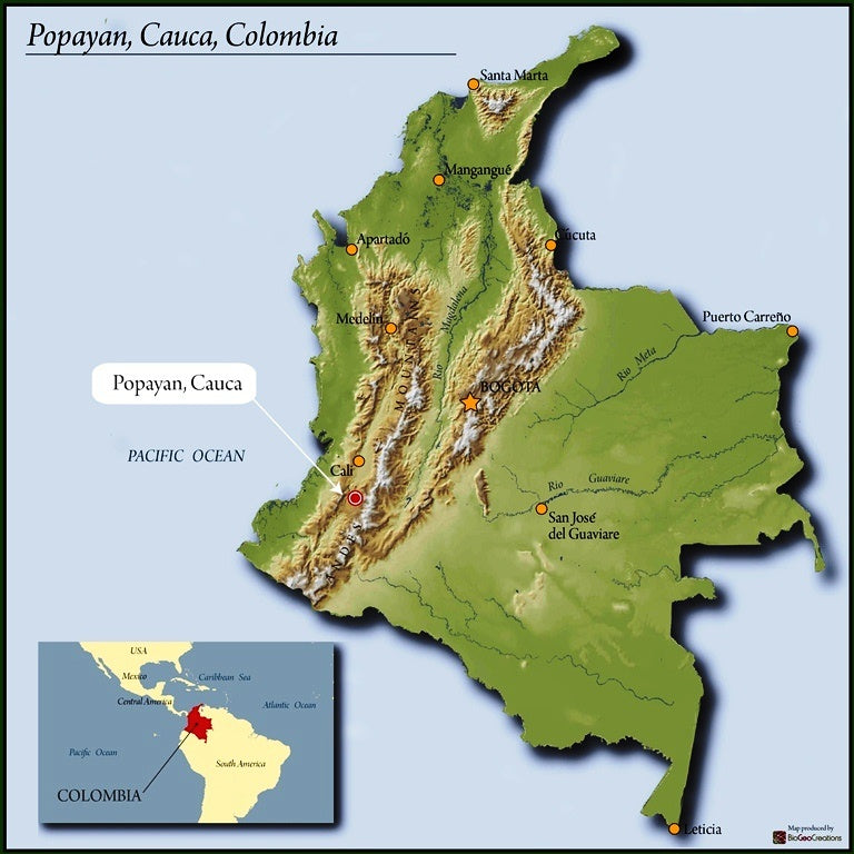 Colombia Popayan Supremo 17/18 - *49709* - 24287 - 70.0 kg Bags - SPOT RCWHSE