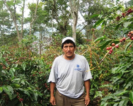 Nicaragua Jinotega SHG EP - *50251* - 24351 - SPOT RCWHSE