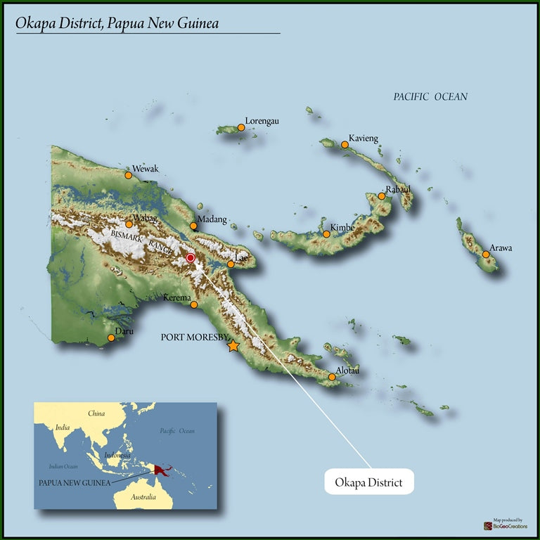 PAPUA NEW GUINEA FT-USA ORGANIC PUROSA A/X - *51596* - 23442 - SPOT RCWHSE