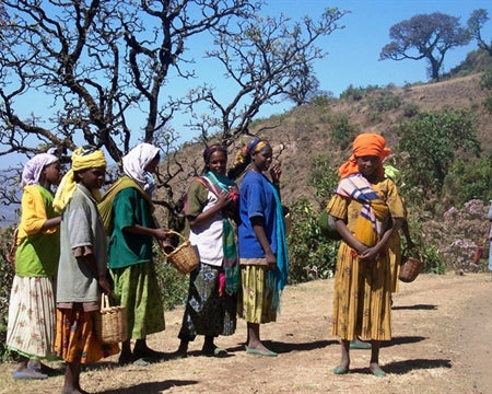 Ethiopia Harrar 4 Natural Queen City - *49448H* - 25926 - GrainPro Bags - SPOT DUPUYHOU