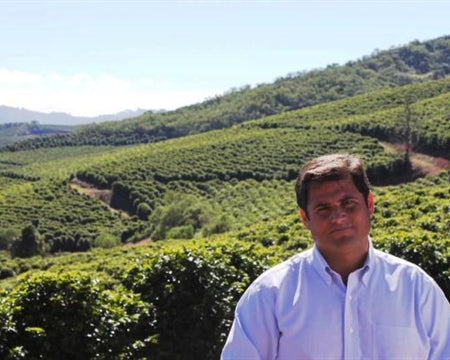 Brazil Fazenda Rainha Yellow Bourbon Pulped Natural 16+ - 32944 - Videplast Bags - SPOT RCWHSE