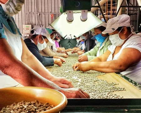 HONDURAS FT-FLO ORGANIC MARCALA RAOS SHG EP - *52704* - 26918-4 - GrainPro Bags - SPOT COSEATAC
