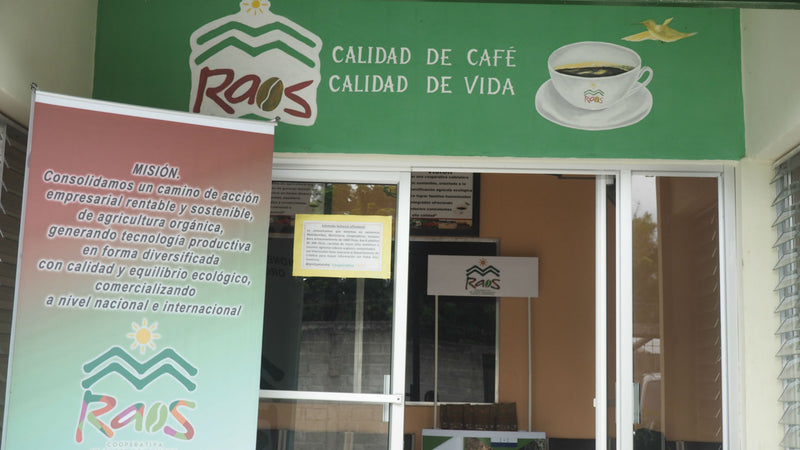 HONDURAS FT-FLO ORGANIC MARCALA RAOS SHG EP - *52704* - 26918-3 - GrainPro Bags - SPOT COSEATAC