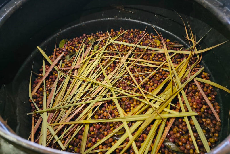 Crown Jewel Ethiopia Anaerobic Natural Lemongrass Co-ferment Banko Chelchele - 40655-1 - SPOT RCWHSE