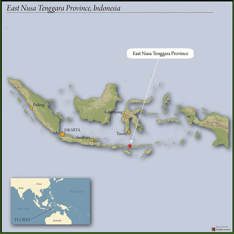 FLORES ORGANIC BAJAWA NGURA WET HULLED - 40900-1 - GrainPro Bags - SPOT COMIDWEST