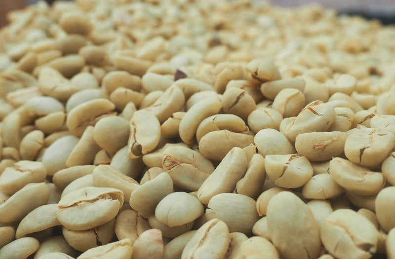 COLOMBIA FT-FLO ORGANIC CAUCA COSURCA EP - 41538 - 70.0 kg GrainPro Bags - ETA: Sep 22, 2026 - RCWHSE