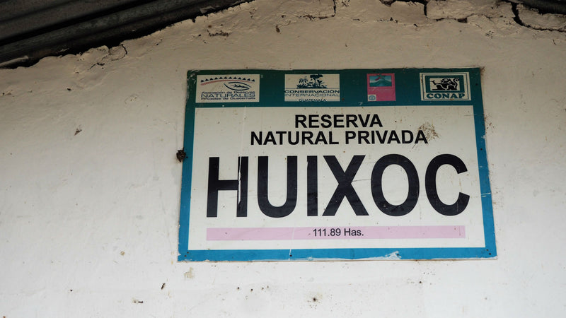 Guatemala Huehuetenango Finca Huixoc - 38951 - Ecotact Bags - SPOT RCWHSE