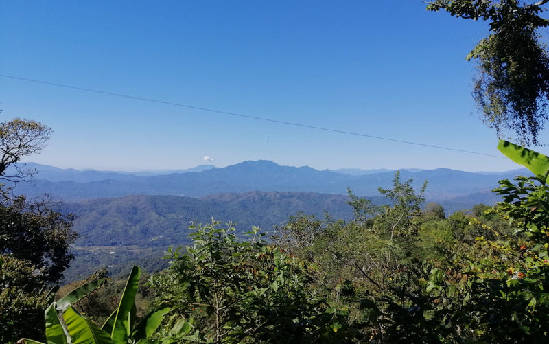 Mexico Oaxaca Sierra Sur Pluma San Vicente Yogondoy - 39756 - Ecotact Bags - SPOT RCWHSE