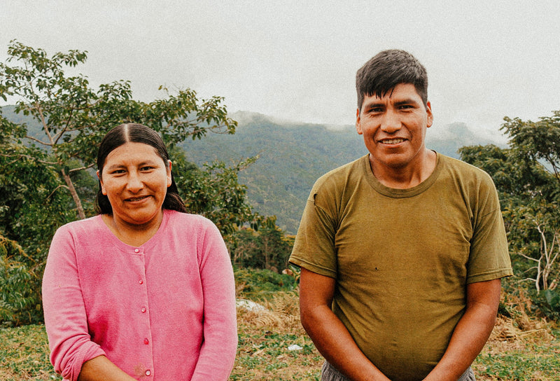 BOLIVIA ORGANIC CARANAVI ALJIRI - 39120-1 - GrainPro Bags - SPOT DUPUYHOU