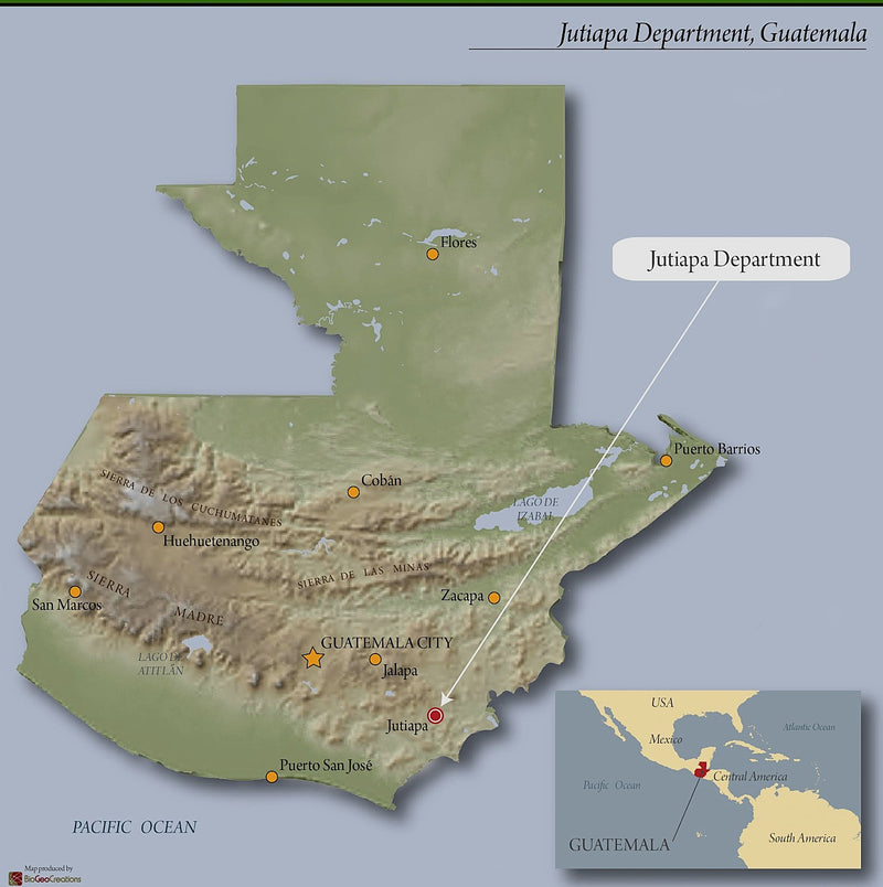 Guatemala Jutiapa Coccioes - 39774 - GrainPro Bags - ETA: Sep 24, 2026 - RCWHSE