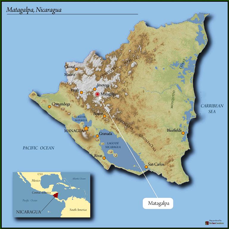 Nicaragua Matagalpa Bonanza SHG EP - 40090 - GrainPro Bags - SPOT RCWHSE