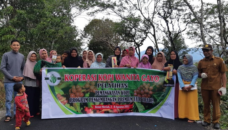 SUMATRA FT-FLO ORGANIC KOKOWAGAYO WOMEN'S COOPERATIVE GRADE 1 - 38187 - SPOT COMIDWEST