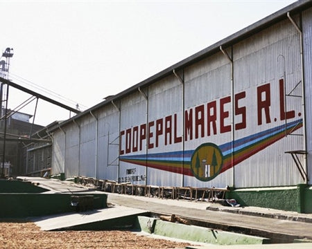 Costa Rica West Valley Monte Crisol SHB EP - 36672 - SPOT RCWHSE