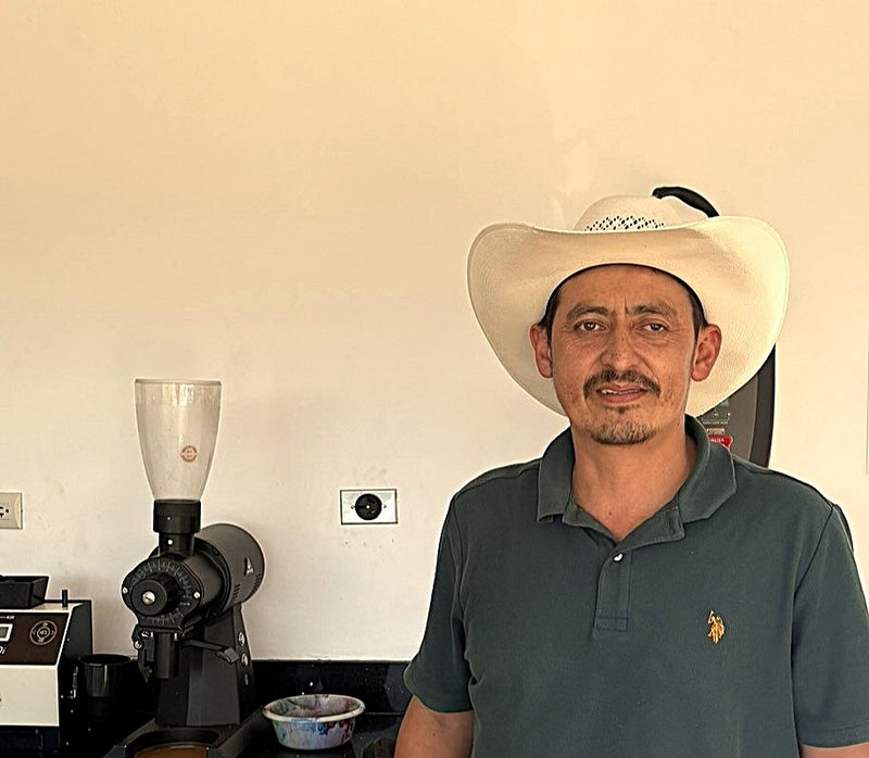 Crown Jewel Honduras Washed Ebin Castillo - Lot 64 - 41042-1 - SPOT RCWHSE