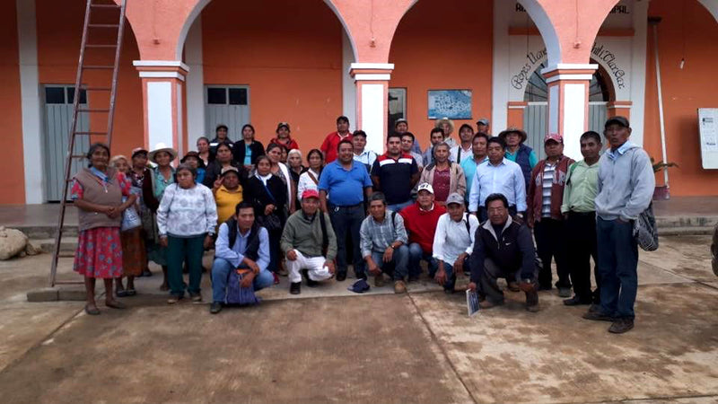 MEXICO FT-FLO ORGANIC OAXACA CEPCO ALTURA HG EP - 40420 - GrainPro Bags - SPOT RCWHSE