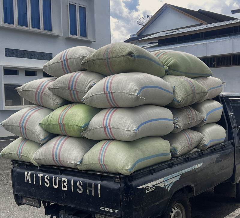 SUMATRA ORGANIC TAKENGON JAGONG JEGET IKA MANDHELING GRADE 1 - 39831 - SPOT RCWHSE