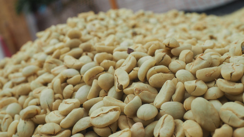 Kenya Oaklands Natural - 46KF0082 - 38759 - GrainPro Bags - SPOT SEAFORTH