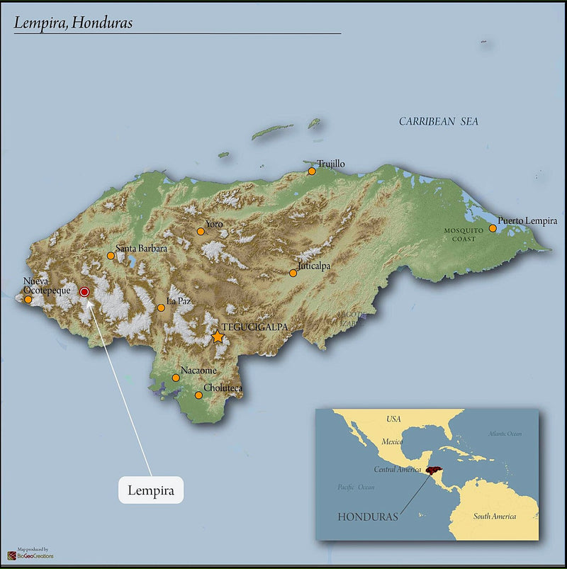 Honduras Marcala Comsa Orlando Carvajal Finca Los Platanares - 41758 - GrainPro Bags - ETA: Oct 13, 2026 - RCWHSE