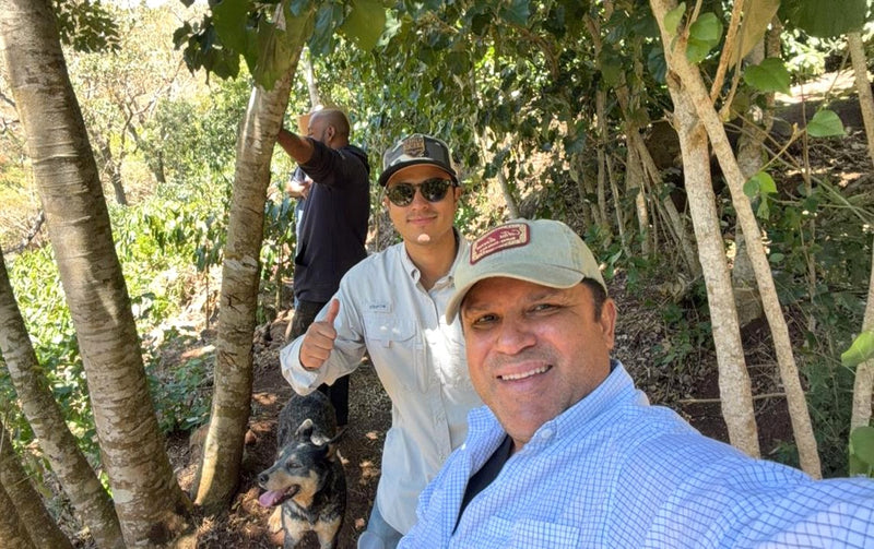 Crown Jewel Guatemala Washed Laurina José Padilla & Gonzalo Hernández - 39773-1 - SPOT RCWHSE