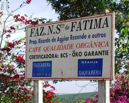BRAZIL ORGANIC NOSSA SENHORA DE FATIMA 15+ - 40238 - Videplast Bags - SPOT RCWHSE