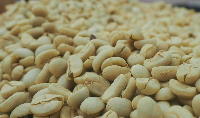 Colombia Antioquia Giraldo Exotico - *50138* - 25579 - 70.0 kg GrainPro Bags - SPOT RCWHSE