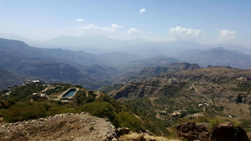 Yemen Mocca Haimi - 41680 - Ecotact Bags - September 2026 Delivery - RCWHSE
