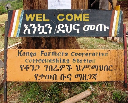 ETHIOPIA YIRGACHEFFE 1 WASHED FT-FLO ORGANIC KONGA - 37019 - GrainPro Bags - SPOT SEAFORTH