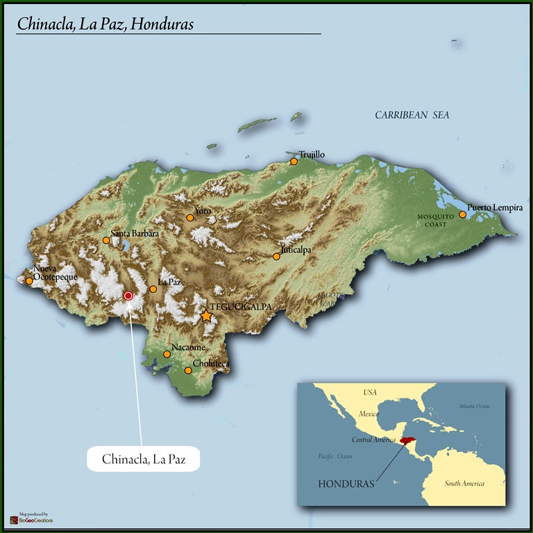 Honduras Santa Barbara Allan Cobos Gesha - 38640 - GrainPro Bags - SPOT RCWHSE