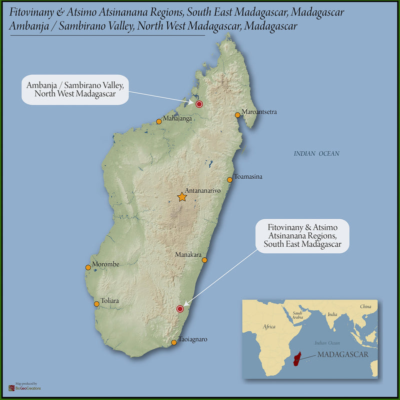 Madagascar Robusta Cherry - 38887 - GrainPro Bags - SPOT RCWHSE