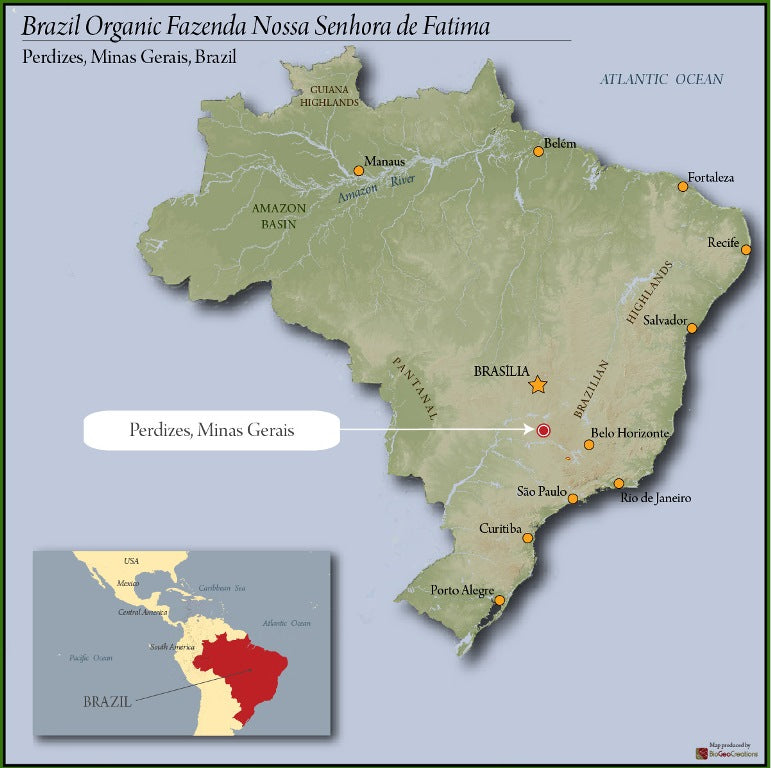 BRAZIL ORGANIC NOSSA SENHORA DE FATIMA 15+ - 40238-2 - Videplast Bags - SPOT COMIDWEST