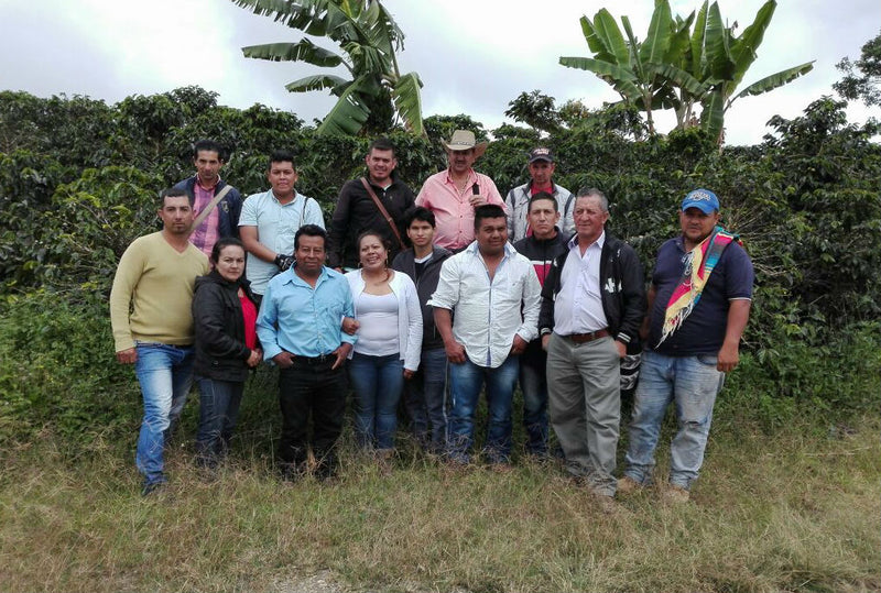 COLOMBIA ORGANIC HUILA EL BOMBO - 40144 - 70.0 kg GrainPro Bags - SPOT SEAFORTH