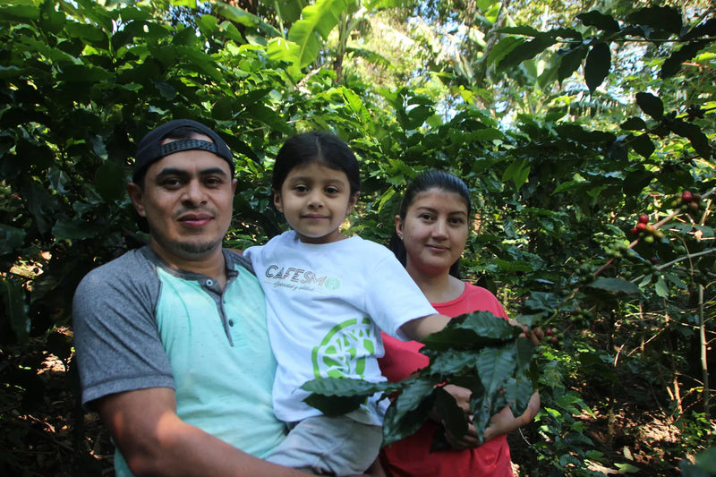 ROYAL GEM HONDURAS ORGANIC CAFESMO ROY HERNANDEZ NATURAL ANAEROBIC PARAINEMA - Lot 21 - 41043-1 - SPOT RCWHSE