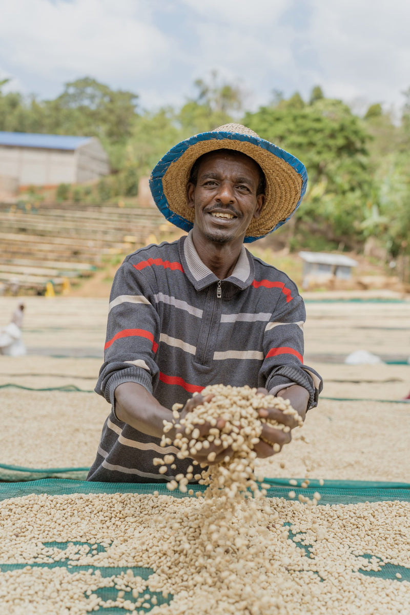 Ethiopia Yirgacheffe 2 Washed Chelchele - 39128-2 - GrainPro Bags - SPOT COMIDWEST