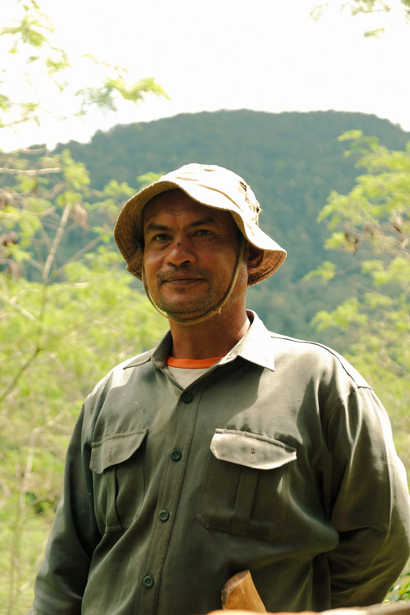 Sumatra Gayo Natural - 41068 - GrainPro Bags - SPOT RCWHSE